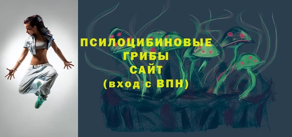 сатива Рославль
