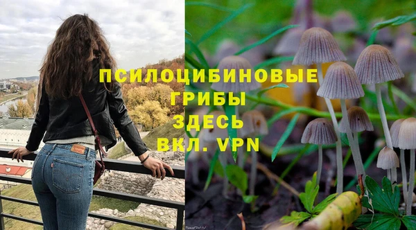 дмт Абинск