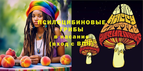 дурь Абаза