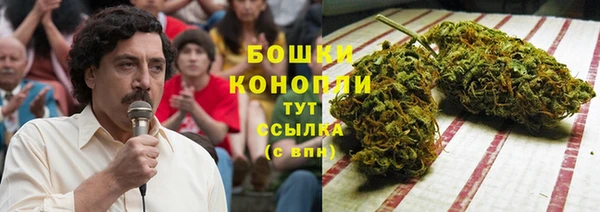 сатива Рославль