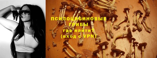амф Абдулино