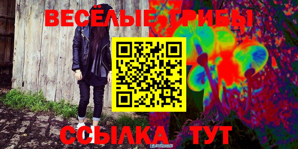 Псилоцибиновые грибы GOLDEN TEACHER Дивногорск