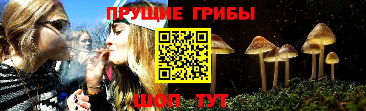 Галлюциногенные грибы мицелий  Вход с VPN  Дивногорск  Псилоцибиновые грибы GOLDEN TEACHER 